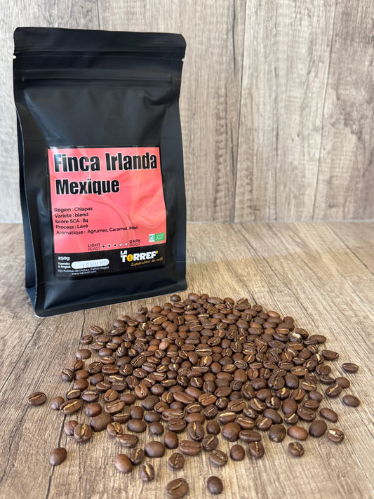 Finca Irlanda -  Mexique - Medium Roast