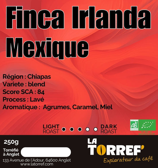 Finca Irlanda -  Mexique - Medium Roast