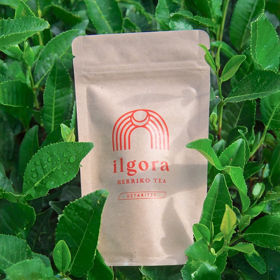 Thé noir d'été -  Ilgora, thé Bio cultivé à Ustaritz, au Pays Basque